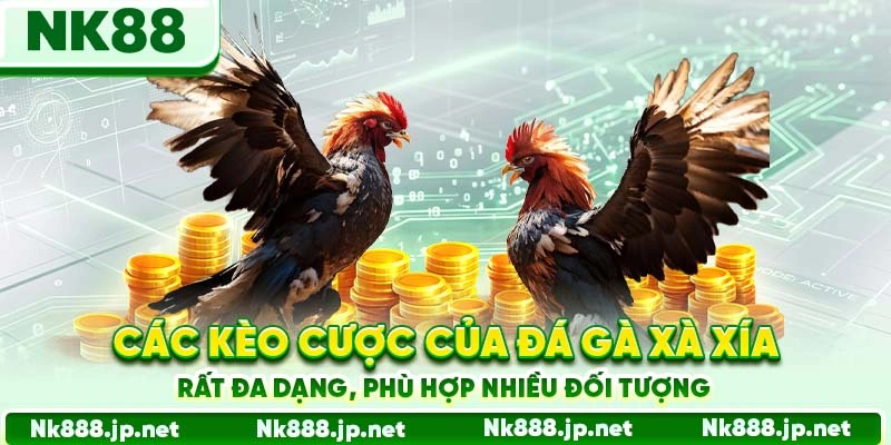 Các kèo cược của đá gà Xà Xía rất đa dạng, phù hợp nhiều đối tượng
