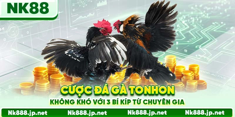 Cược đá gà Tonhon không khó với 3 bí kíp từ chuyên gia