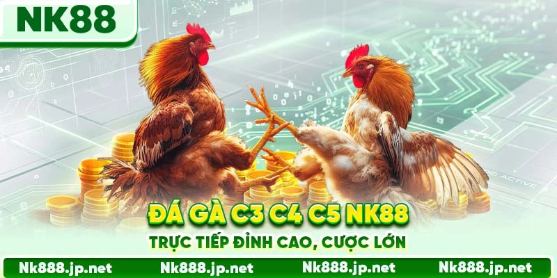 Đá gà C3 C4 C5 Nk88 mang đến một trải nghiệm cá cược chuyên nghiệp