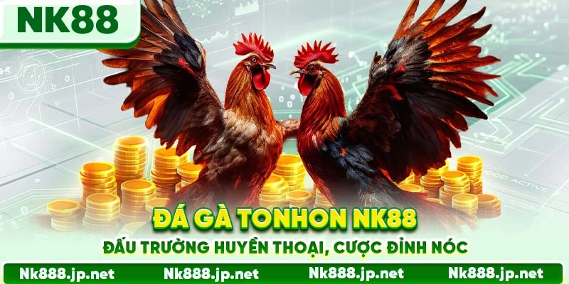 Đá gà Tonhon là đỉnh cao của trải nghiệm cá cược