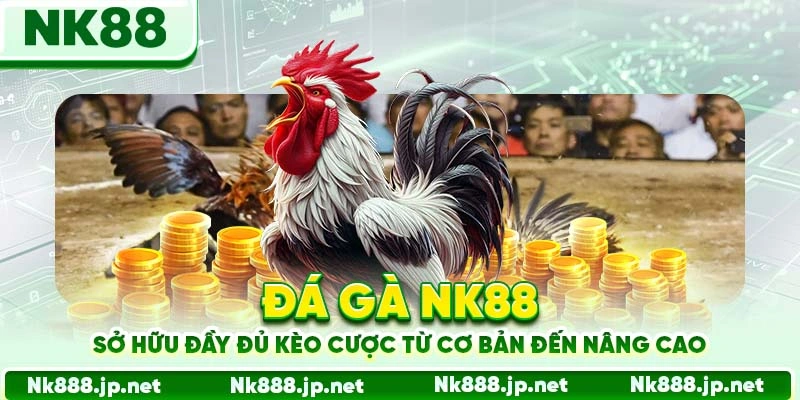 Đá gà Nk88 sở hữu đầy đủ kèo cược từ cơ bản đến nâng cao