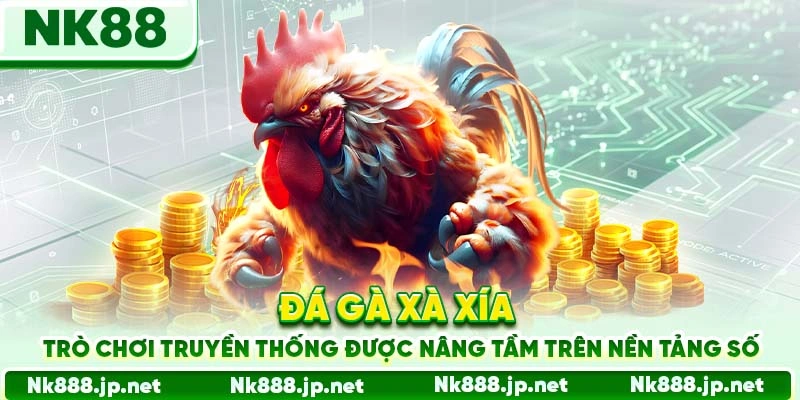 Đá gà Xà Xía - Trò chơi truyền thống được nâng tầm trên nền tảng số